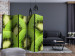Folding Screen Kiwi Slices II (5-piece) - green composition with juicy fruits 133238 additionalThumb 4