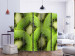 Folding Screen Kiwi Slices II (5-piece) - green composition with juicy fruits 133238 additionalThumb 2