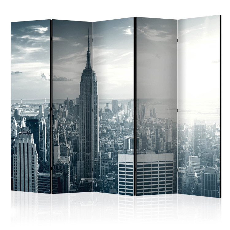 Room Divider Dawn View of Manhattan, New York II - architecture from a bird's eye view 133838