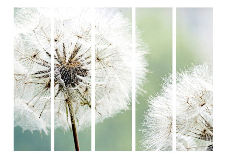 Room Divider Two Dandelions II - plants with white flowers on a light green background 134038 additionalImage 3