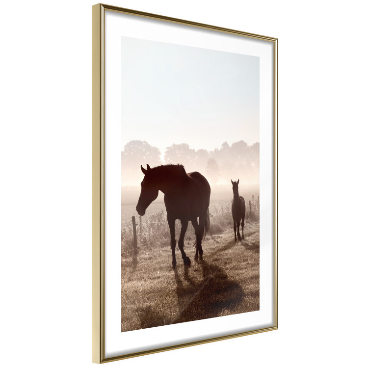 Poster Morning of Memories - landscape of running horses against a misty forest 138038 additionalImage 14