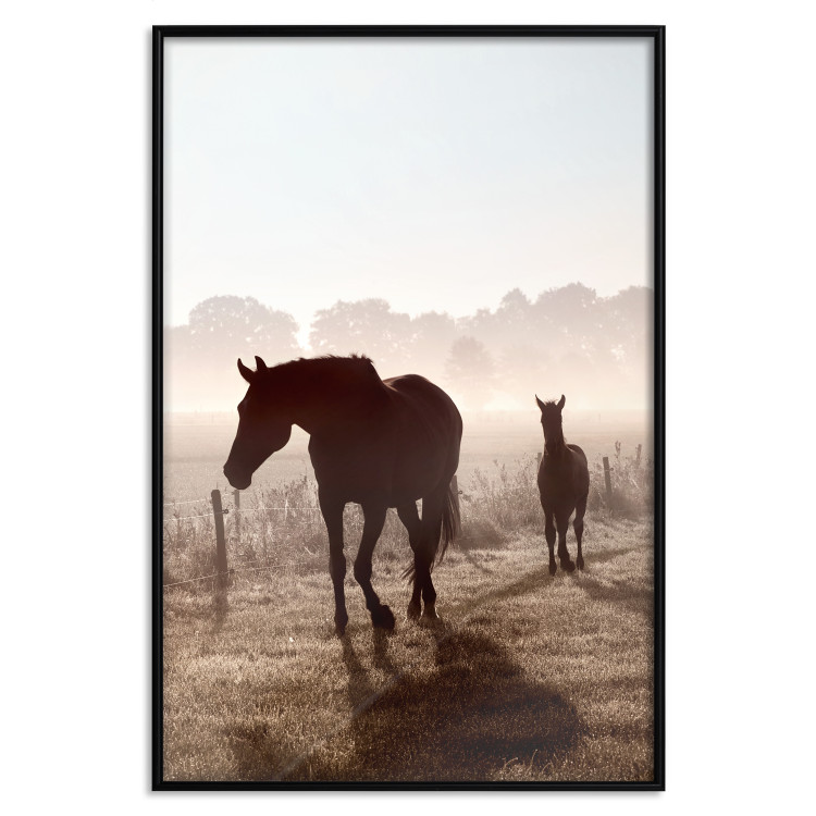 Poster Morning of Memories - landscape of running horses against a misty forest 138038 additionalImage 7