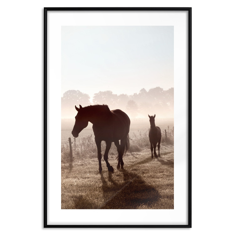Poster Morning of Memories - landscape of running horses against a misty forest 138038 additionalImage 5