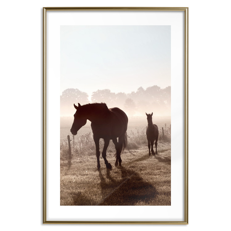 Poster Morning of Memories - landscape of running horses against a misty forest 138038 additionalImage 4