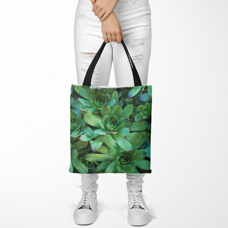 Shopping Bag Flower bed stars - a plant composition with rich detailing 148538 additionalImage 2