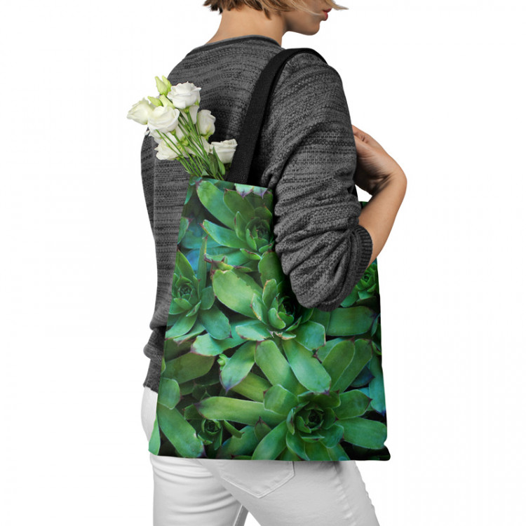Shopping Bag Flower bed stars - a plant composition with rich detailing 148538 additionalImage 3