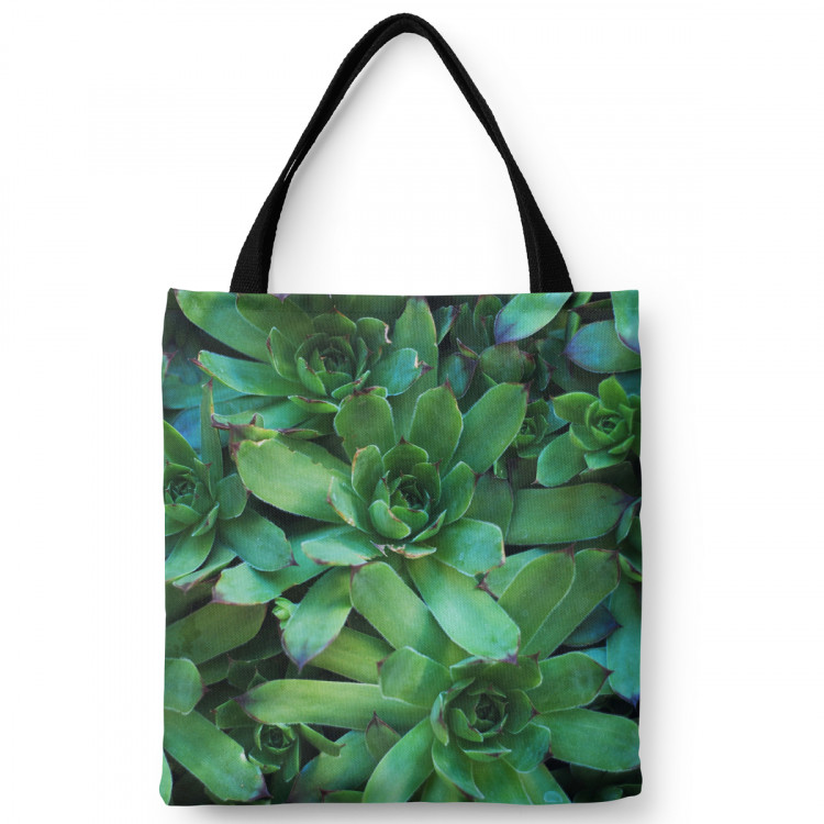 Shopping Bag Flower bed stars - a plant composition with rich detailing 148538