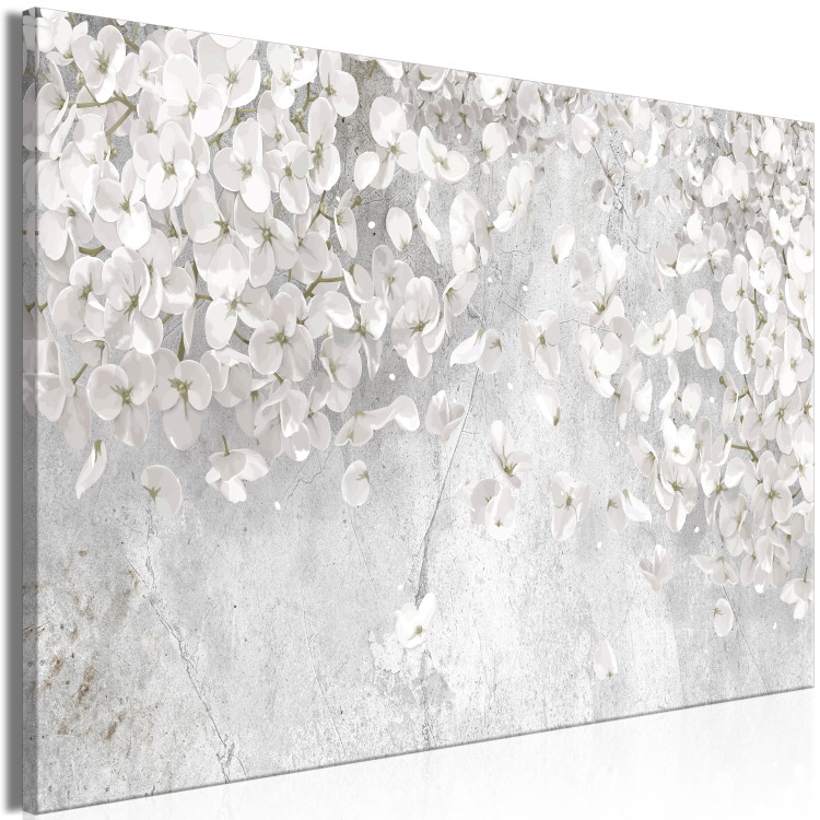 Canvas Art Print White Flowers (1-piece) - white plants on a gray stone background 148838 additionalImage 2