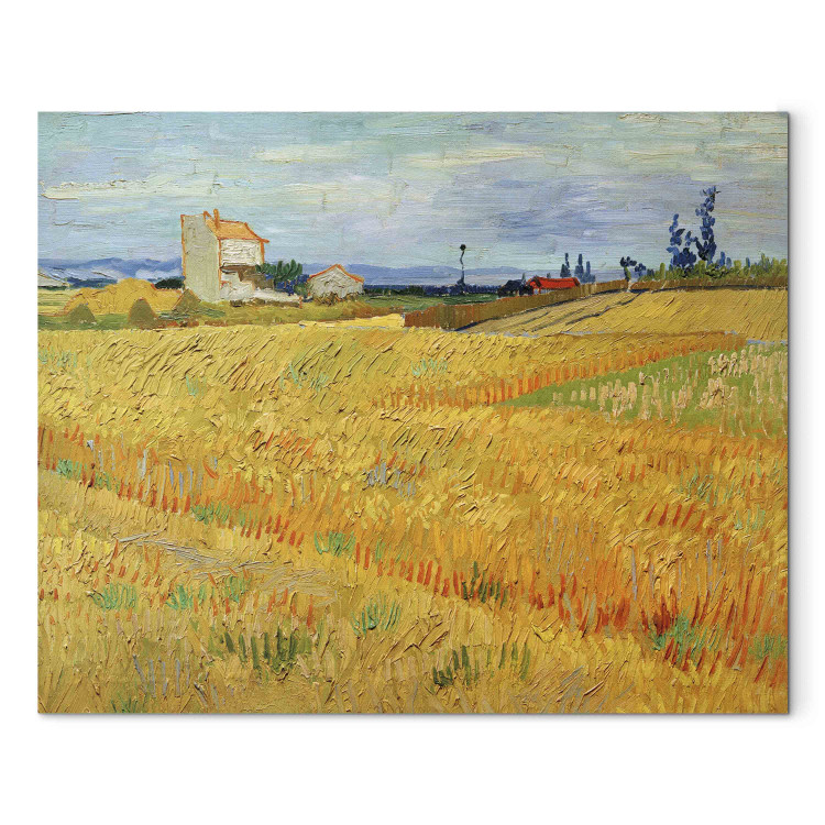 Reproduction Painting Wheat Field  159738