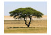 Photo Wallpaper Etosha National Park, Namibia 60438 additionalThumb 1