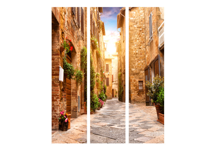 Room Divider Screen Colorful Alley in Tuscany - brick architecture of an Italian town 95238 additionalImage 3