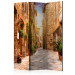Room Divider Screen Colorful Alley in Tuscany - brick architecture of an Italian town 95238