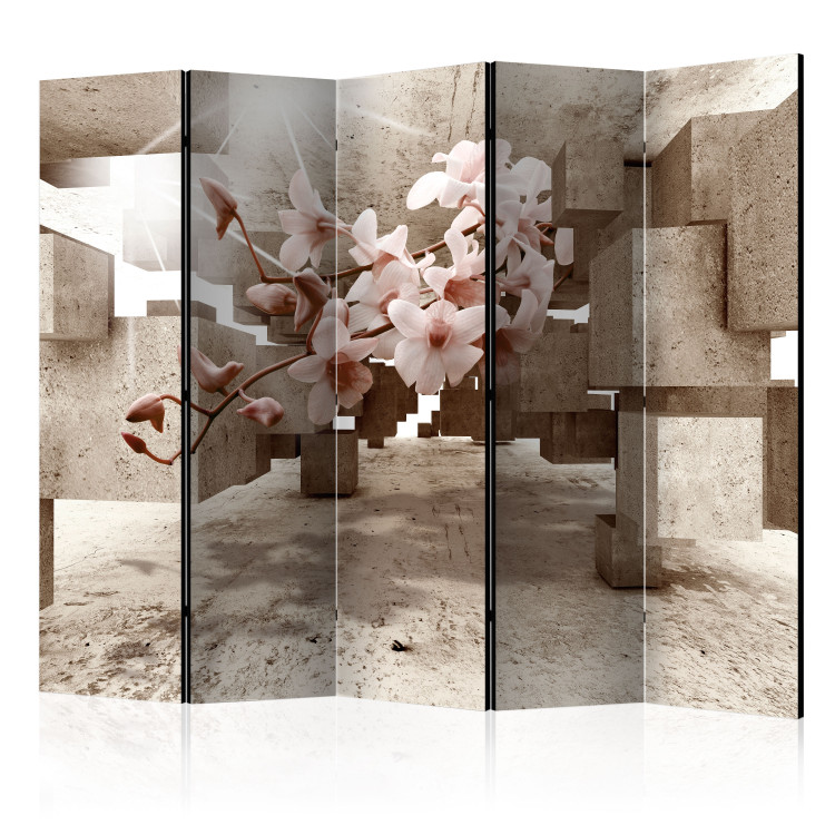 Room Divider Small Wonders II - white orchid flower on a background of abstract 3D figures 95638