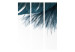 Room Separator Navy Feather - romantic blue feather on light-white background 97438 additionalThumb 3