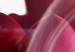 Canvas Print Nature: Pink Tulips 98038 additionalThumb 4