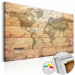 Cork Pinboard World Map: Boards [Cork Map] 98538