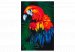 Paint by Number Kit Parrot 107148 additionalThumb 6