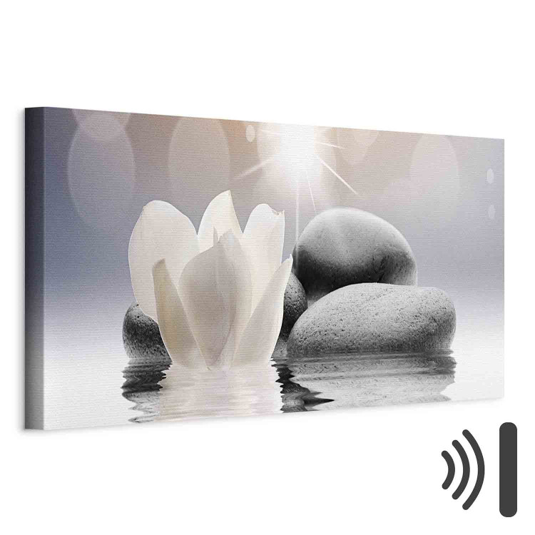 Canvas Print Pebbles in Water (1 Part) Narrow 107648 additionalImage 8