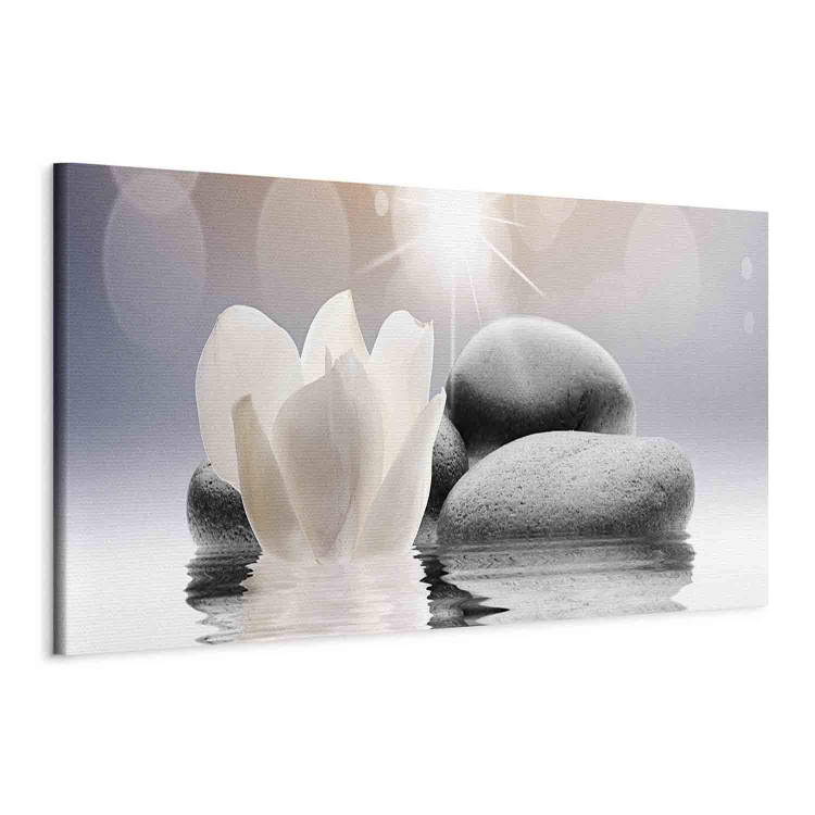 Canvas Print Pebbles in Water (1 Part) Narrow 107648 additionalImage 2