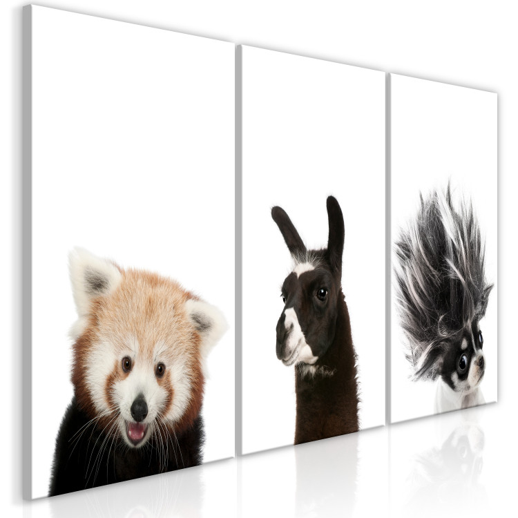 Canvas Art Print Friendly Animals (Collection) 116848 additionalImage 2