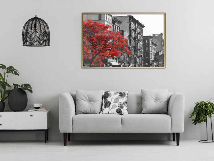 Wall Poster Autumn in New York - black and white urban landscape with a red tree 117148 additionalImage 5