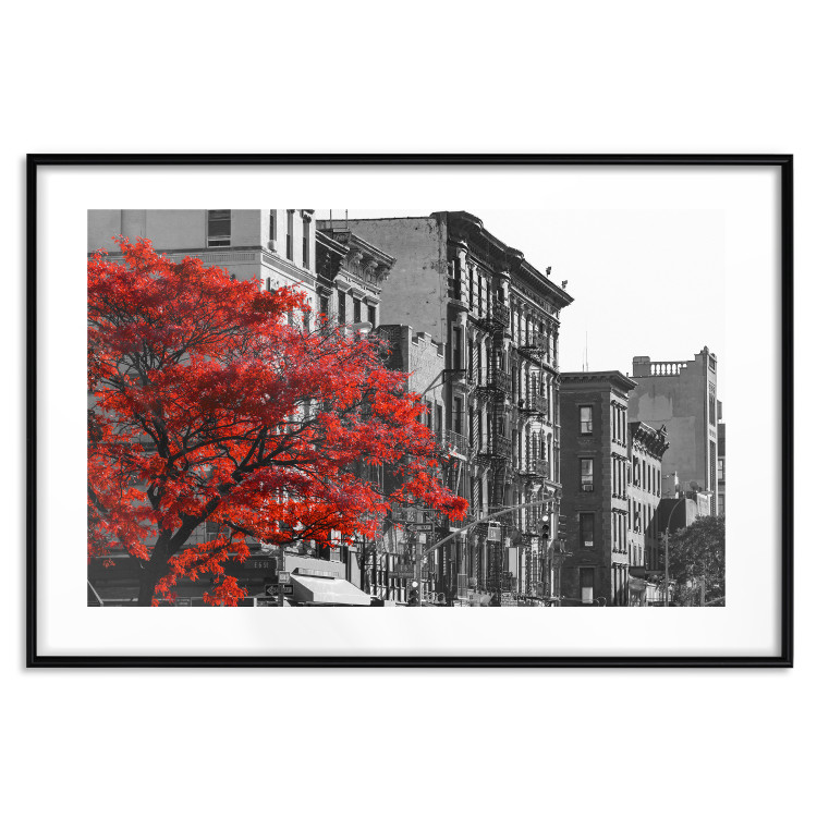 Wall Poster Autumn in New York - black and white urban landscape with a red tree 117148 additionalImage 15