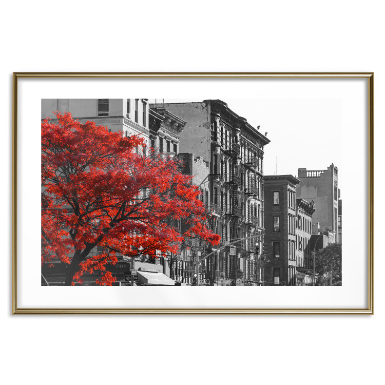 Wall Poster Autumn in New York - black and white urban landscape with a red tree 117148 additionalImage 16