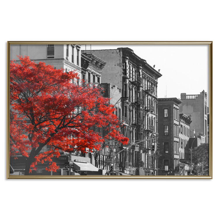 Wall Poster Autumn in New York - black and white urban landscape with a red tree 117148 additionalImage 16