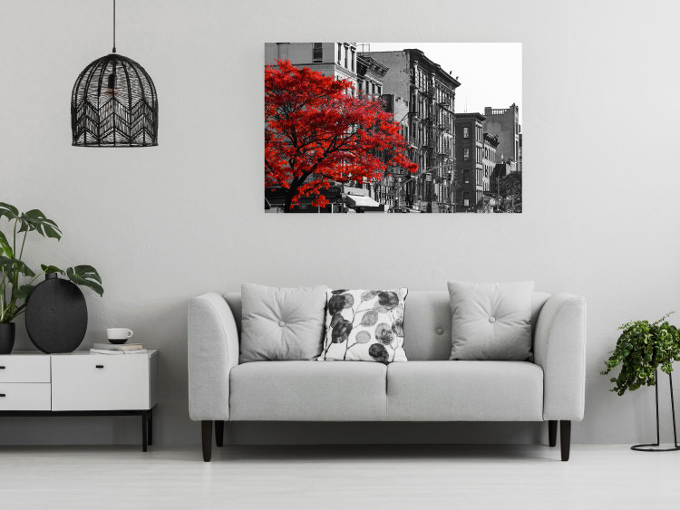 Wall Poster Autumn in New York - black and white urban landscape with a red tree 117148 additionalImage 23