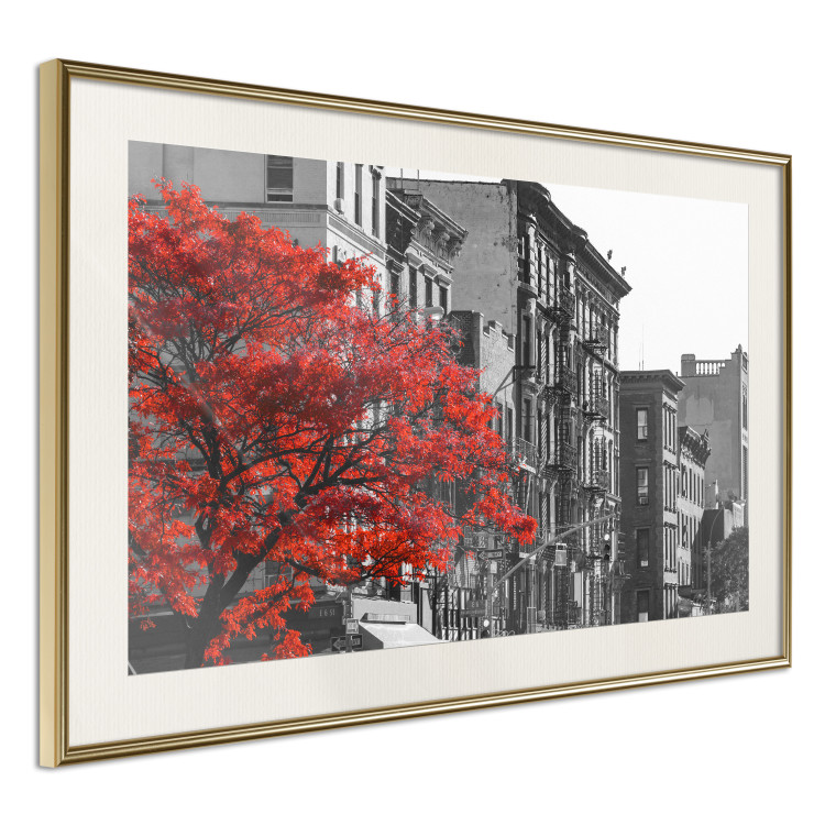 Wall Poster Autumn in New York - black and white urban landscape with a red tree 117148 additionalImage 2