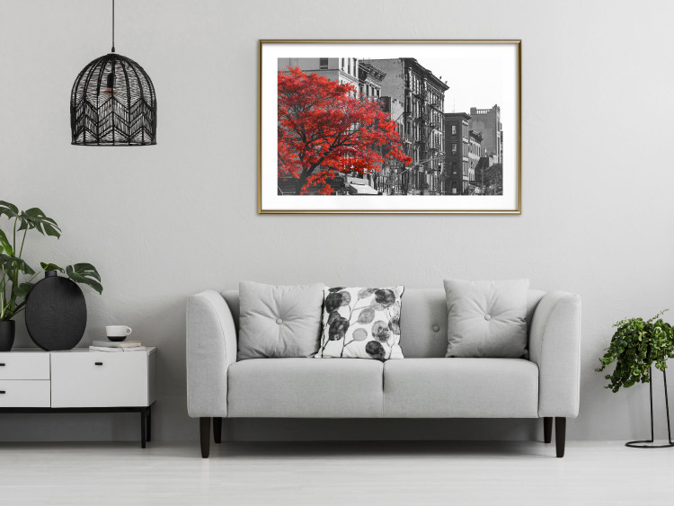 Wall Poster Autumn in New York - black and white urban landscape with a red tree 117148 additionalImage 15