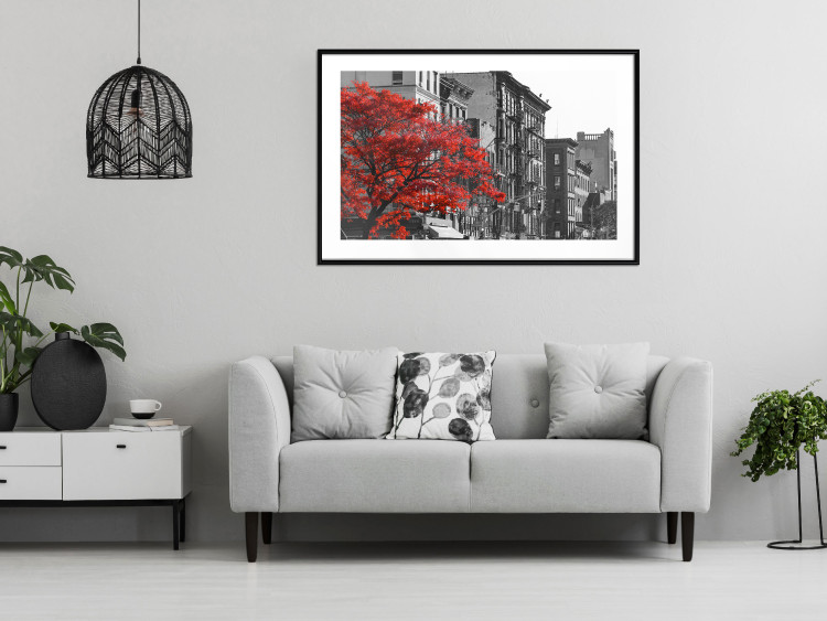 Wall Poster Autumn in New York - black and white urban landscape with a red tree 117148 additionalImage 4