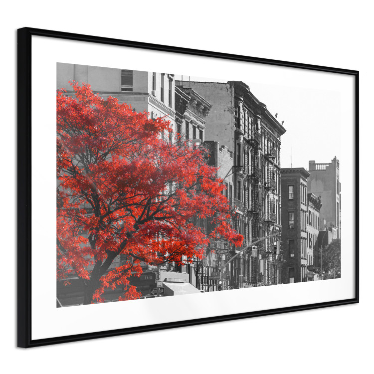 Wall Poster Autumn in New York - black and white urban landscape with a red tree 117148 additionalImage 13