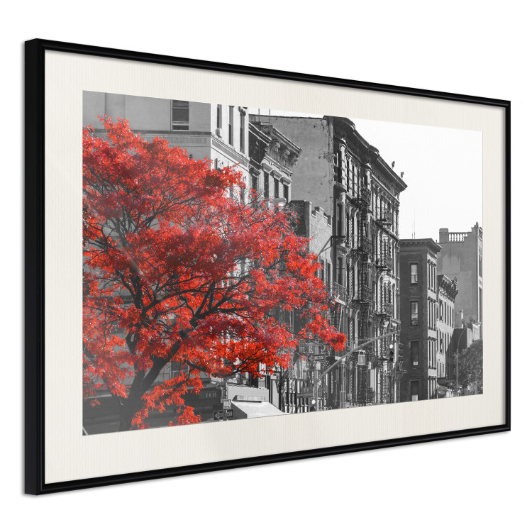 Wall Poster Autumn in New York - black and white urban landscape with a red tree 117148 additionalImage 3