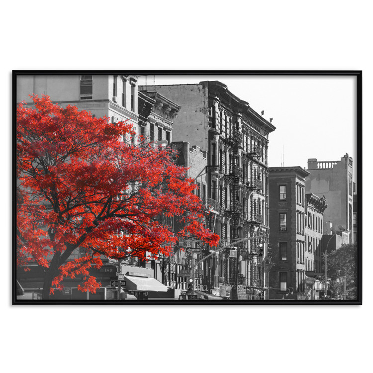 Wall Poster Autumn in New York - black and white urban landscape with a red tree 117148 additionalImage 24