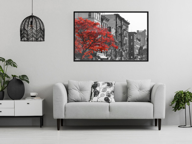 Wall Poster Autumn in New York - black and white urban landscape with a red tree 117148 additionalImage 3