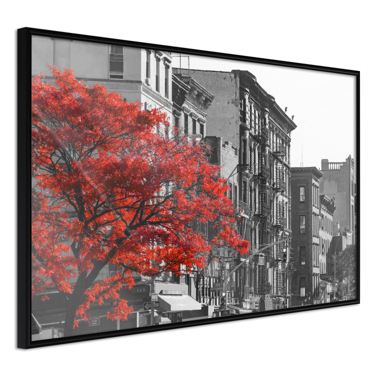Wall Poster Autumn in New York - black and white urban landscape with a red tree 117148 additionalImage 12