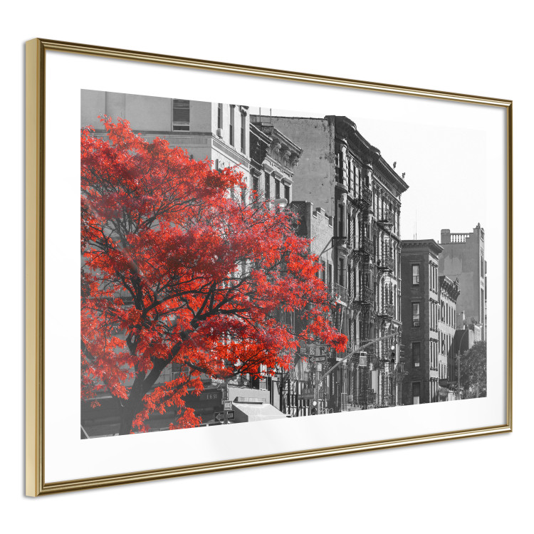 Wall Poster Autumn in New York - black and white urban landscape with a red tree 117148 additionalImage 8