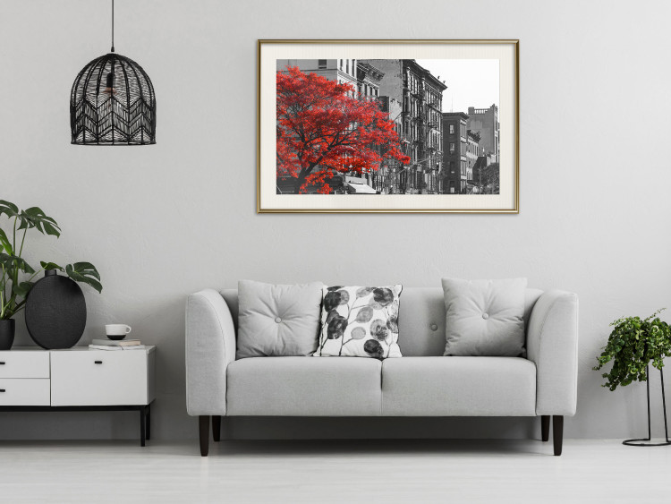 Wall Poster Autumn in New York - black and white urban landscape with a red tree 117148 additionalImage 21