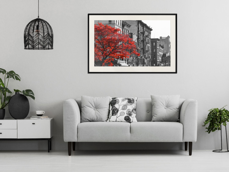 Wall Poster Autumn in New York - black and white urban landscape with a red tree 117148 additionalImage 22