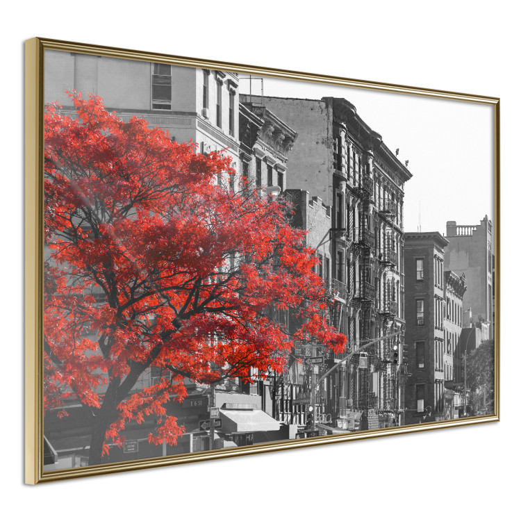 Wall Poster Autumn in New York - black and white urban landscape with a red tree 117148 additionalImage 12