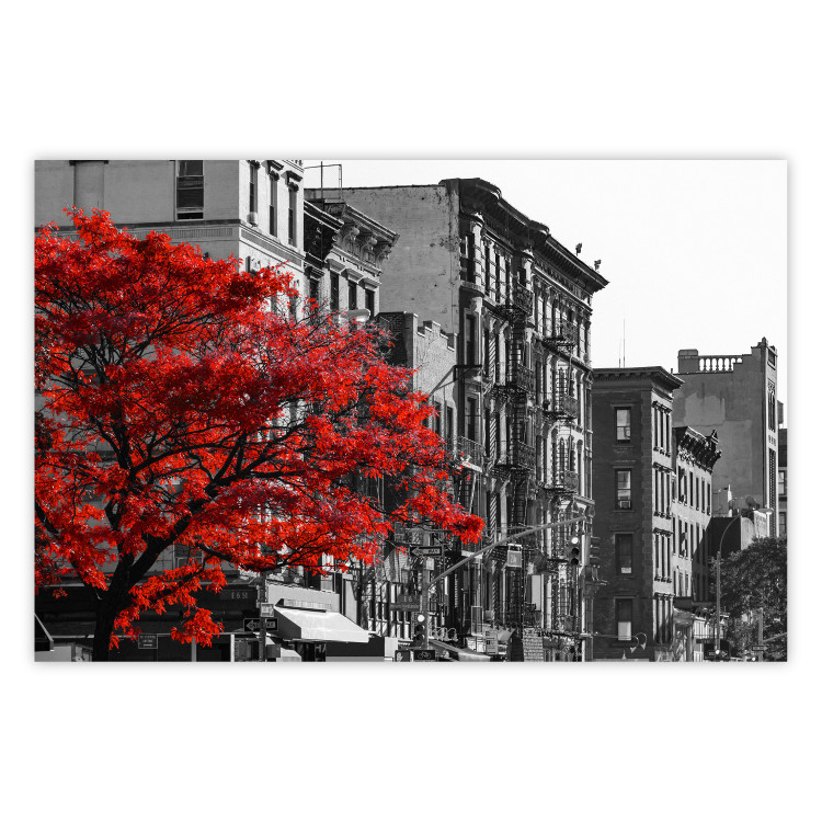 Wall Poster Autumn in New York - black and white urban landscape with a red tree 117148