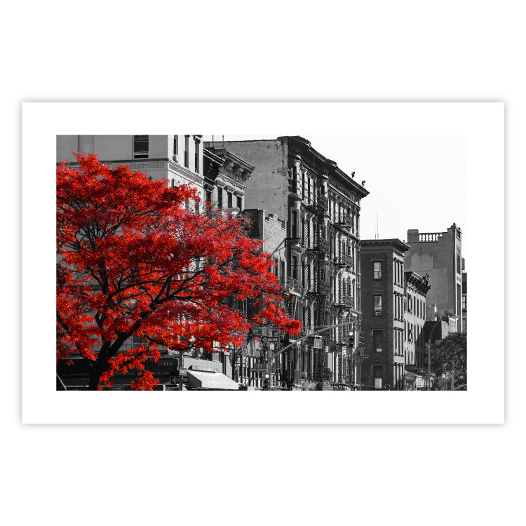 Wall Poster Autumn in New York - black and white urban landscape with a red tree 117148 additionalImage 19