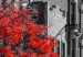 Wall Poster Autumn in New York - black and white urban landscape with a red tree 117148 additionalThumb 9