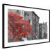 Wall Poster Autumn in New York - black and white urban landscape with a red tree 117148 additionalThumb 13