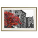 Wall Poster Autumn in New York - black and white urban landscape with a red tree 117148 additionalThumb 19