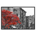 Wall Poster Autumn in New York - black and white urban landscape with a red tree 117148 additionalThumb 18