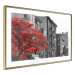 Wall Poster Autumn in New York - black and white urban landscape with a red tree 117148 additionalThumb 6