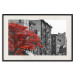 Wall Poster Autumn in New York - black and white urban landscape with a red tree 117148 additionalThumb 18