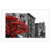 Wall Poster Autumn in New York - black and white urban landscape with a red tree 117148 additionalThumb 25